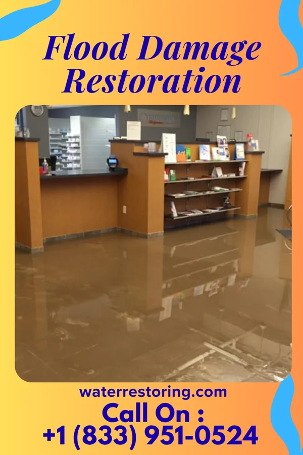 Flood Damage Restoration in Harrisburg, IL