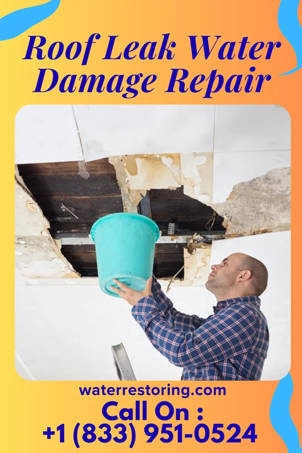 Roof Leak Water Damage Repair in Harrisburg, IL